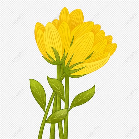 flores amarillas dibujo